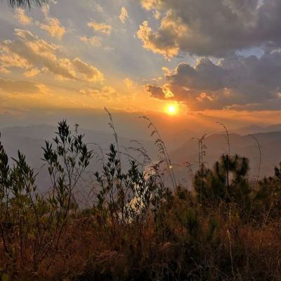 万博手机版max网页版