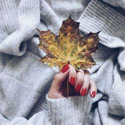 亿博·app官方网站