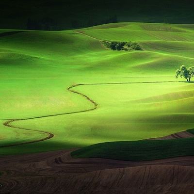 Im体育官方截图