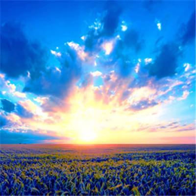 im电竞平台app下载