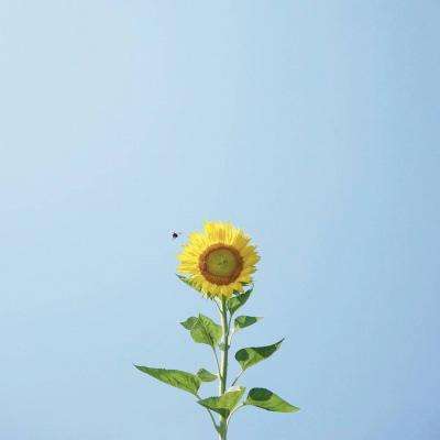 澳门最准最快资料网站下载