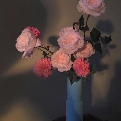 bd体育app官方下载