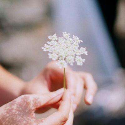 开元棋脾官方网站