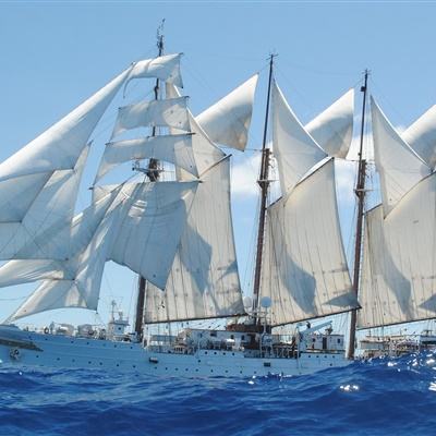 皇冠新体育app下载