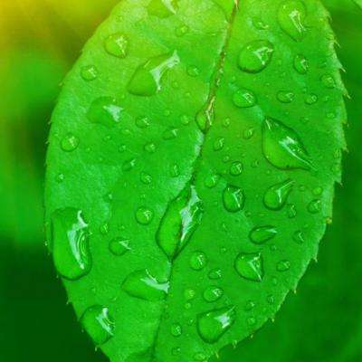 半岛官方网站下载